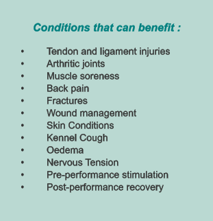 Conditions that can benefit :  	Tendon and ligament injuries 	Arthritic joints 	Muscle soreness 	Back pain 	Fractures 	Wound management 	Skin Conditions 	Kennel Cough 	Oedema 	Nervous Tension 	Pre-performance stimulation 	Post-performance recovery