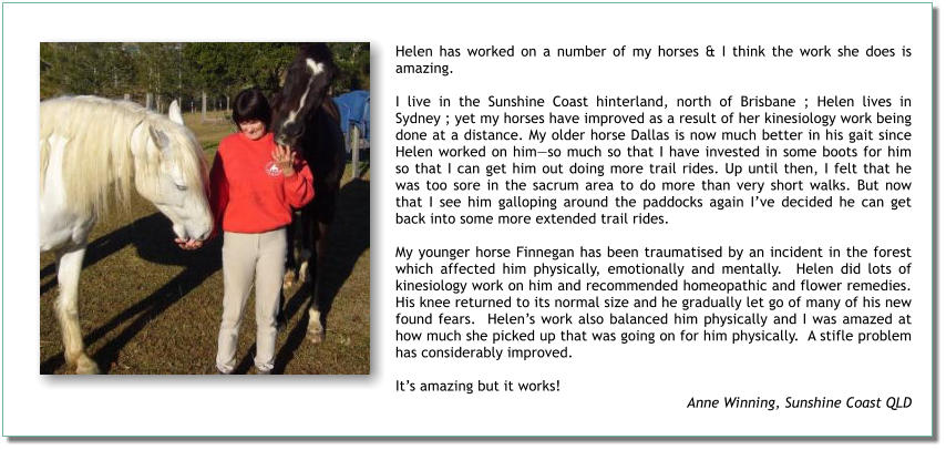 Helen has worked on a number of my horses & I think the work she does is amazing.   I live in the Sunshine Coast hinterland, north of Brisbane ; Helen lives in Sydney ; yet my horses have improved as a result of her kinesiology work being done at a distance. My older horse Dallas is now much better in his gait since Helen worked on himso much so that I have invested in some boots for him so that I can get him out doing more trail rides. Up until then, I felt that he was too sore in the sacrum area to do more than very short walks. But now that I see him galloping around the paddocks again Ive decided he can get back into some more extended trail rides.   My younger horse Finnegan has been traumatised by an incident in the forest which affected him physically, emotionally and mentally.  Helen did lots of kinesiology work on him and recommended homeopathic and flower remedies. His knee returned to its normal size and he gradually let go of many of his new found fears.  Helens work also balanced him physically and I was amazed at how much she picked up that was going on for him physically.  A stifle problem has considerably improved.   Its amazing but it works!  Anne Winning, Sunshine Coast QLD