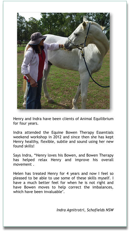 Henry and Indra have been clients of Animal Equilibrium for four years.   Indra attended the Equine Bowen Therapy Essentials weekend workshop in 2012 and since then she has kept Henry healthy, flexible, subtle and sound using her new found skills!  Says Indra, Henry loves his Bowen, and Bowen Therapy has helped relax Henry and improve his overall movement .   Helen has treated Henry for 4 years and now I feel so pleased to be able to use some of these skills myself. I have a much better feel for when he is not right and have Bowen moves to help correct the imbalances, which have been invaluable".    Indra Agnitrotri, Schofields NSW